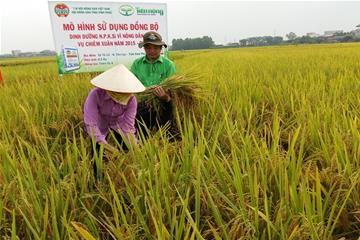 Phân bón Tiến Nông cho mùa bội thu